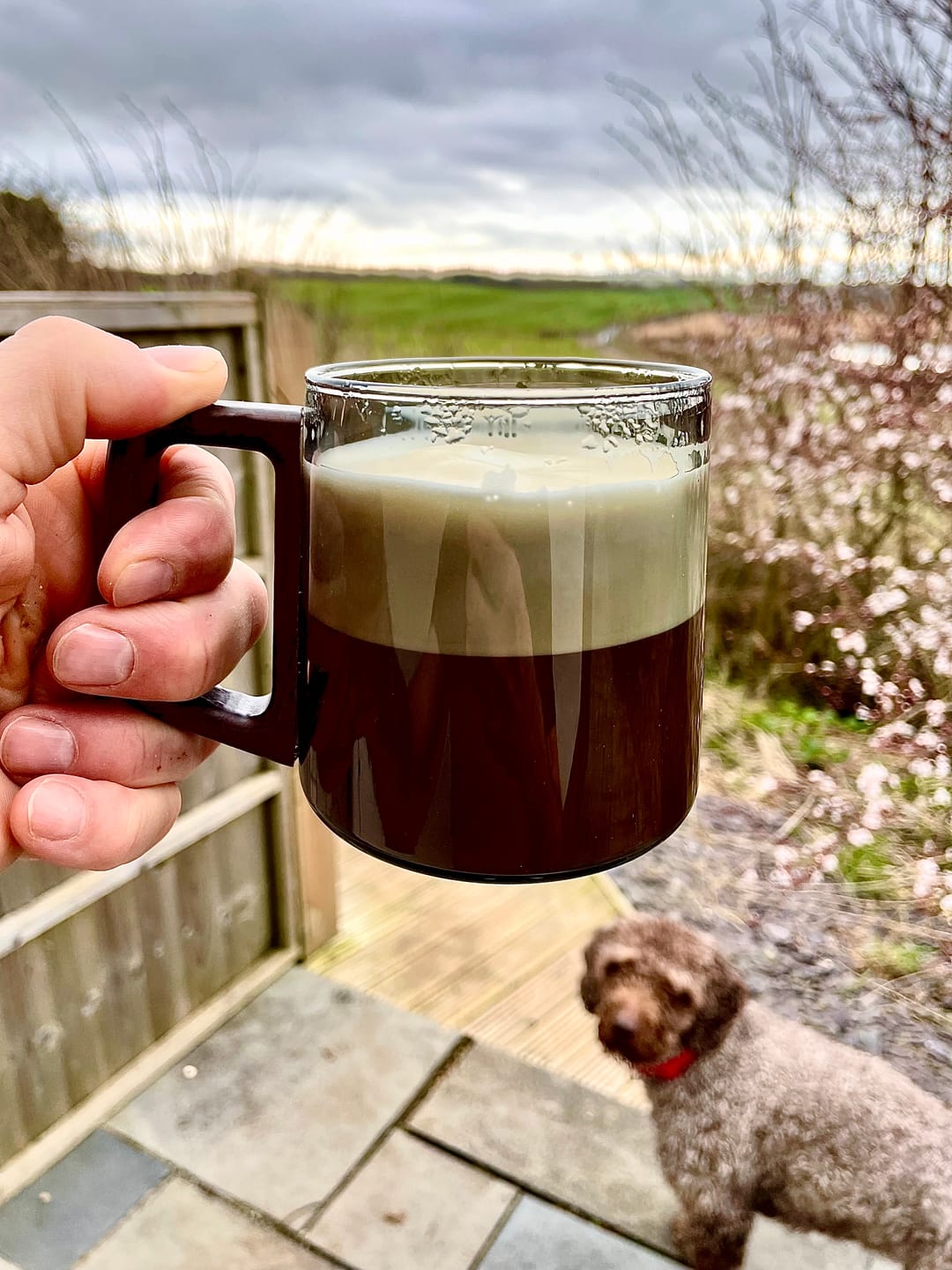 Customer photo review of Smokey Gray Glass Slanted Coffee Cups With Walnut Handle