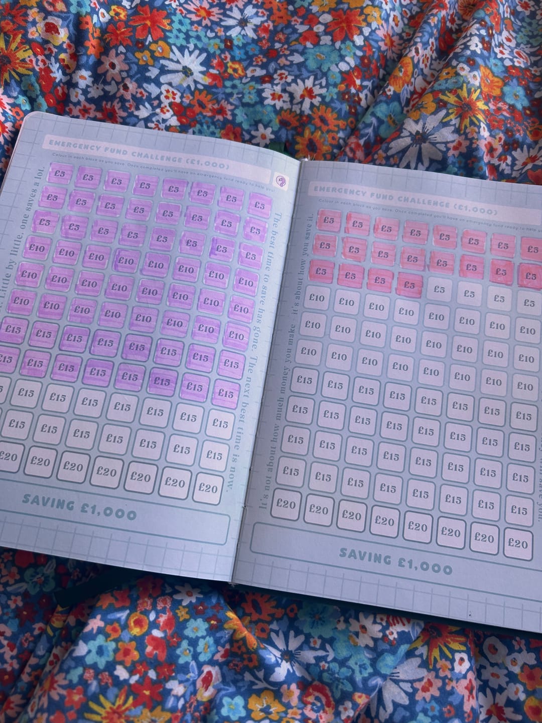 Customer photo review of Budget - Deluxe Life Journal
