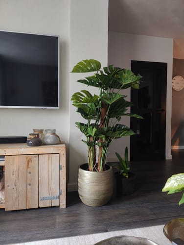 Customer photo review of Monstera Kunstplant 120cm