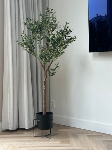 Customer photo review of Kunst Olijfboom 150cm