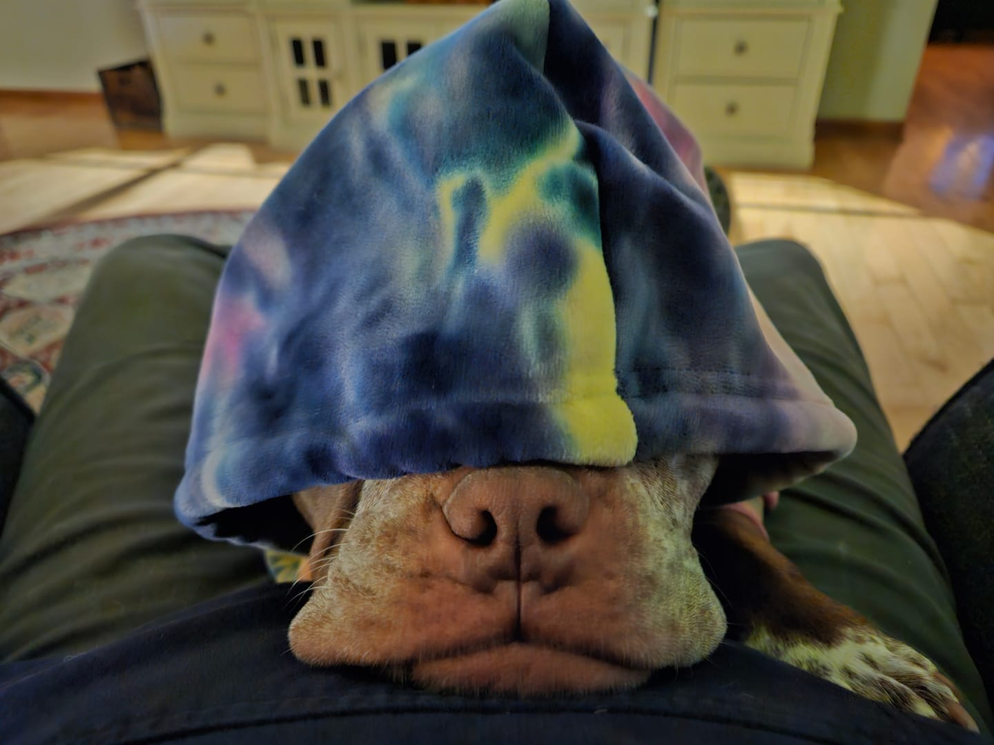 Customer photo review of Velvet Human Hoodie - Berry Lemonade