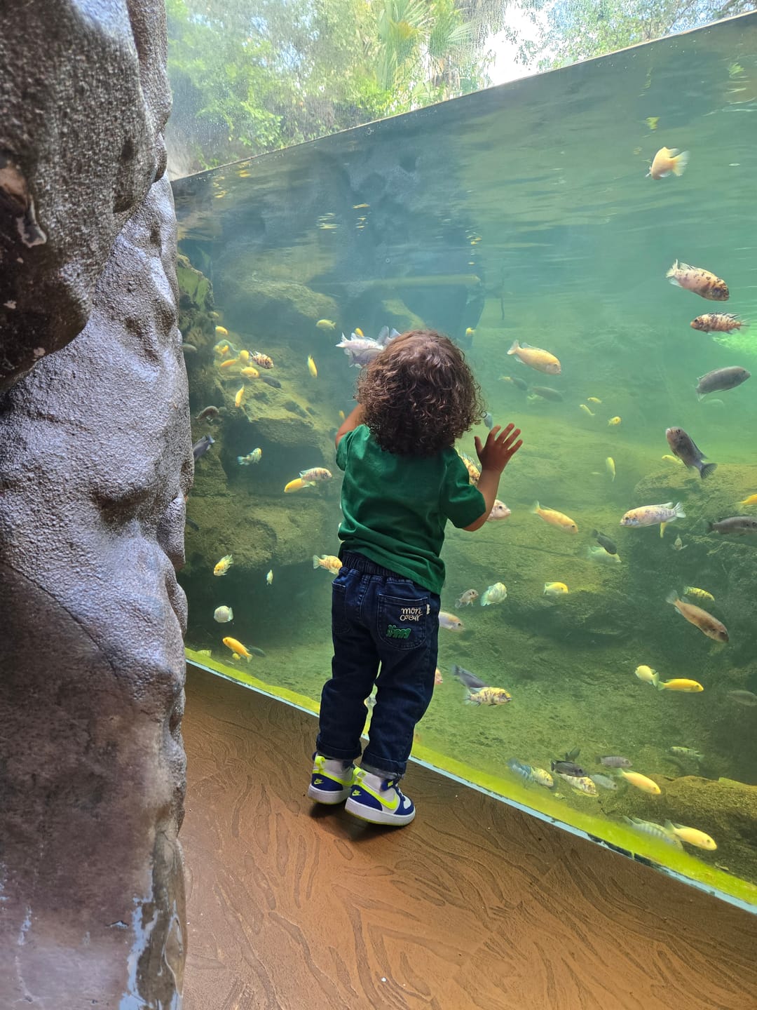 Customer photo review of Recycled Denim Green Apple Patch Baby Pant