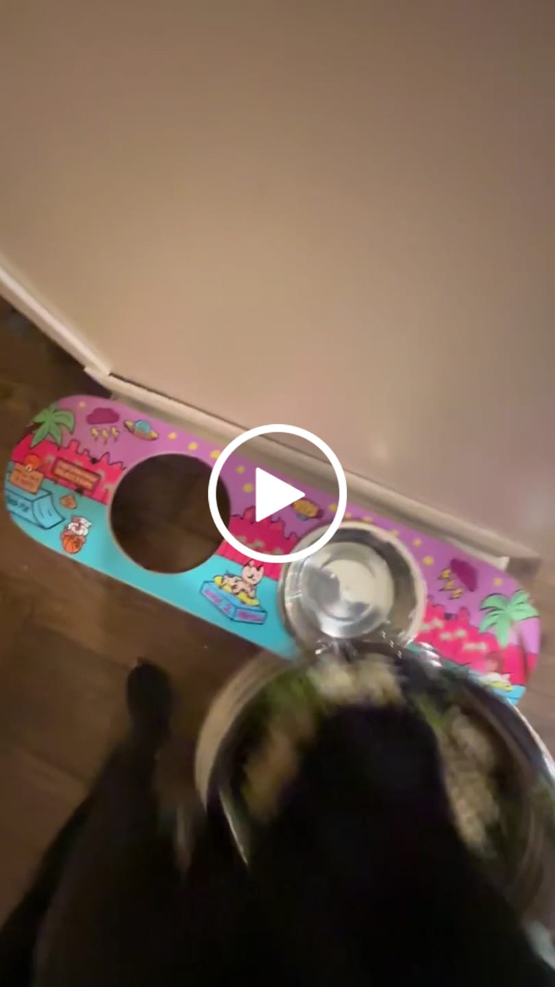 Customer video review of Shred City Skateboard Dog Bowl
