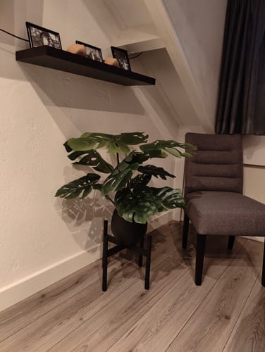 Customer photo review of Monstera Kunstplant 80cm