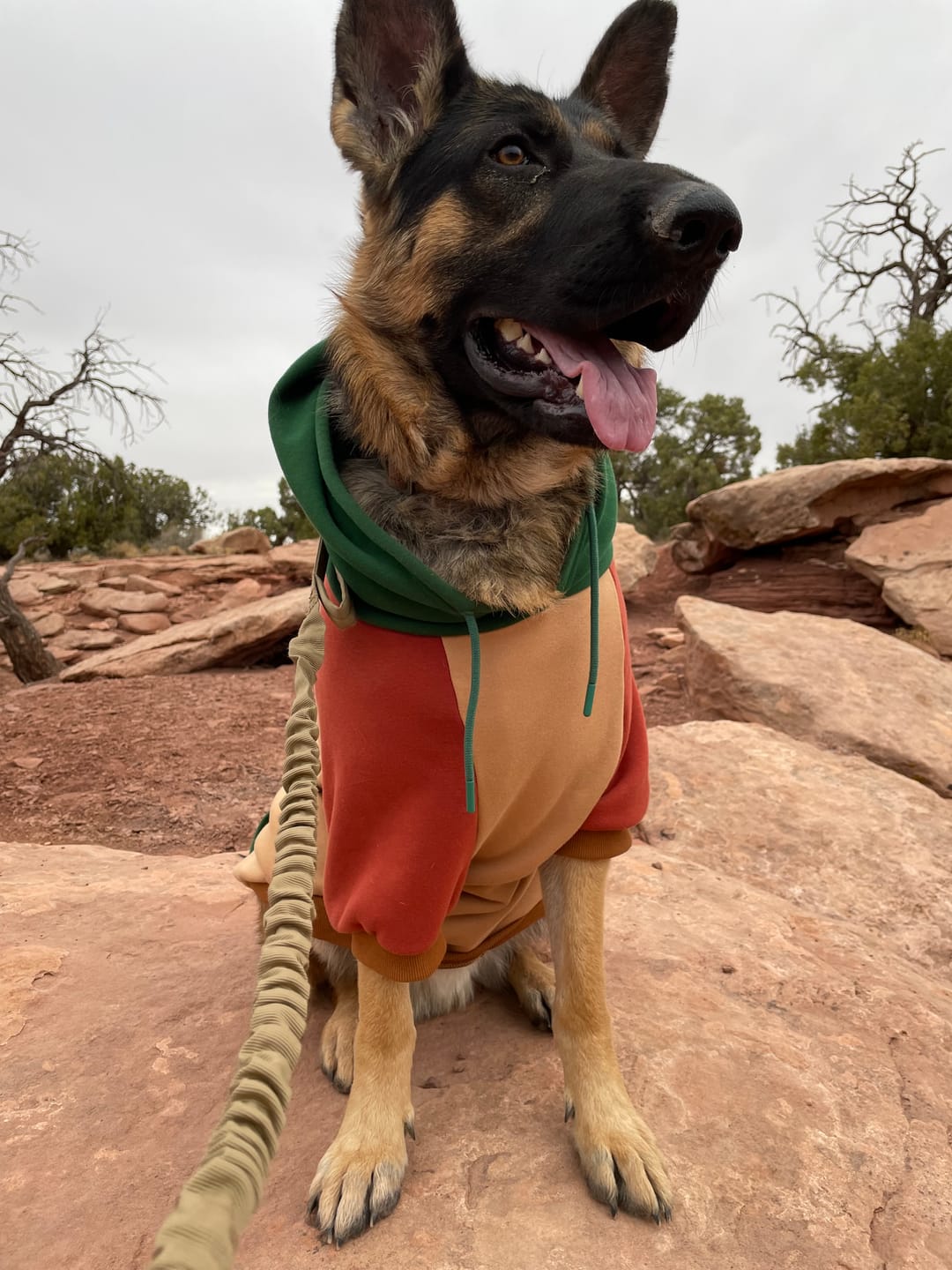 Customer photo review of Ranger Human Hoodie