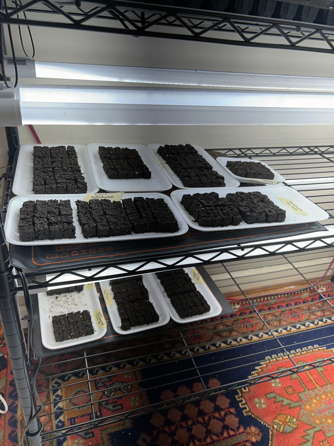 Customer photo review of Blocker Trays, Reusable Foam