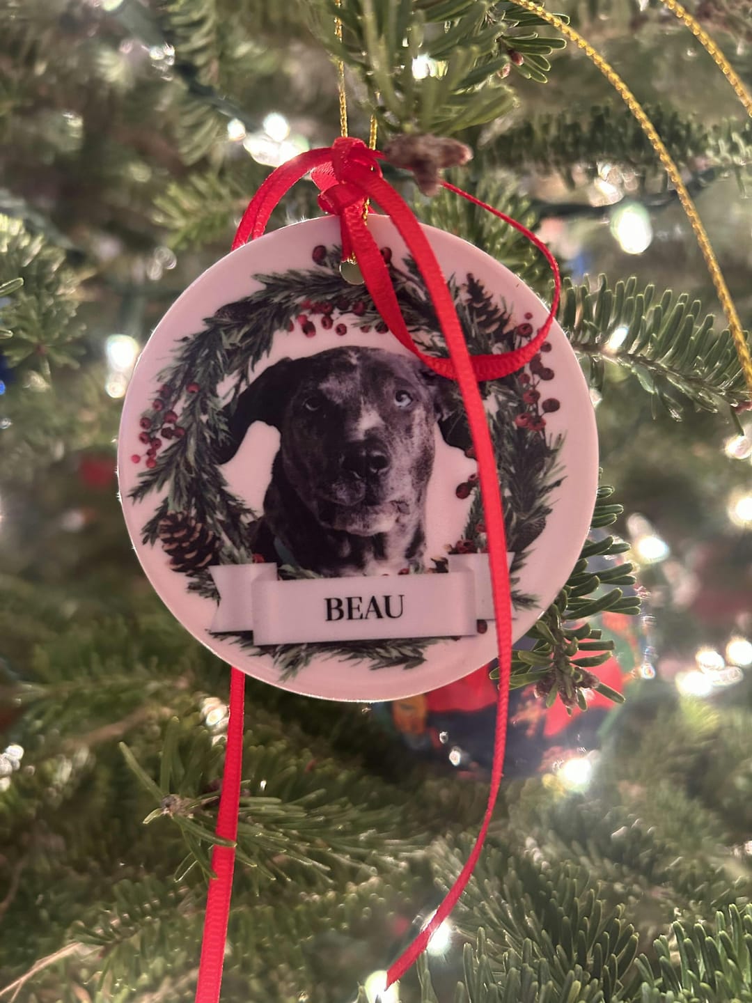 Customer photo review of Custom Photo Lovely Pet Face - Christmas Gift For Pet Lovers, Pet Memorial - Personalized Circle Ceramic Ornament OW0002