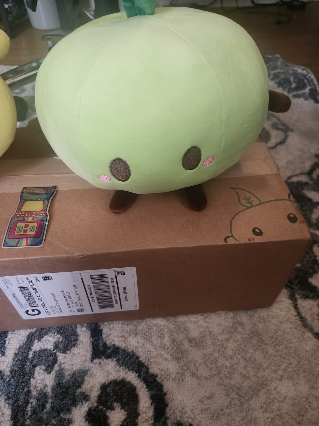 Customer photo review of Stardew Valley - Green Junimo Pillow Plush