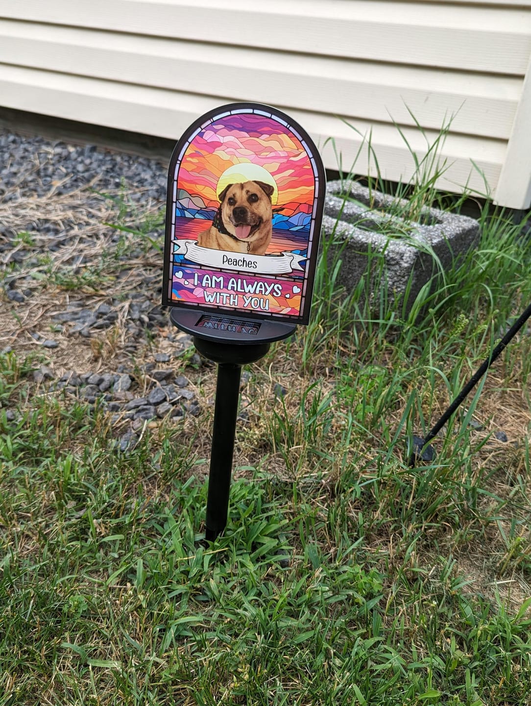 Customer photo review of Custom Loss of Pet I'm Always With You Photo Solar Garden Light, Personalized Pet Memorial Light, Pet Remembrance Gift, Pet Sympathy Gift SGL0005