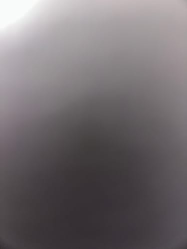 Customer photo review of GIOVANNAL - SENAPE