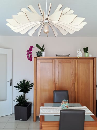 Customer photo review of Aurora | Suspension