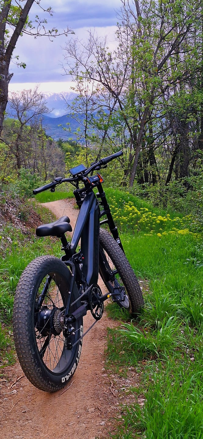 Customer photo review of T7 Full Suspension Mountain E-bike