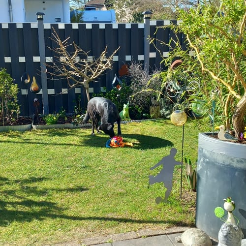 Customer photo review of Gartenstecker Fußballer V2