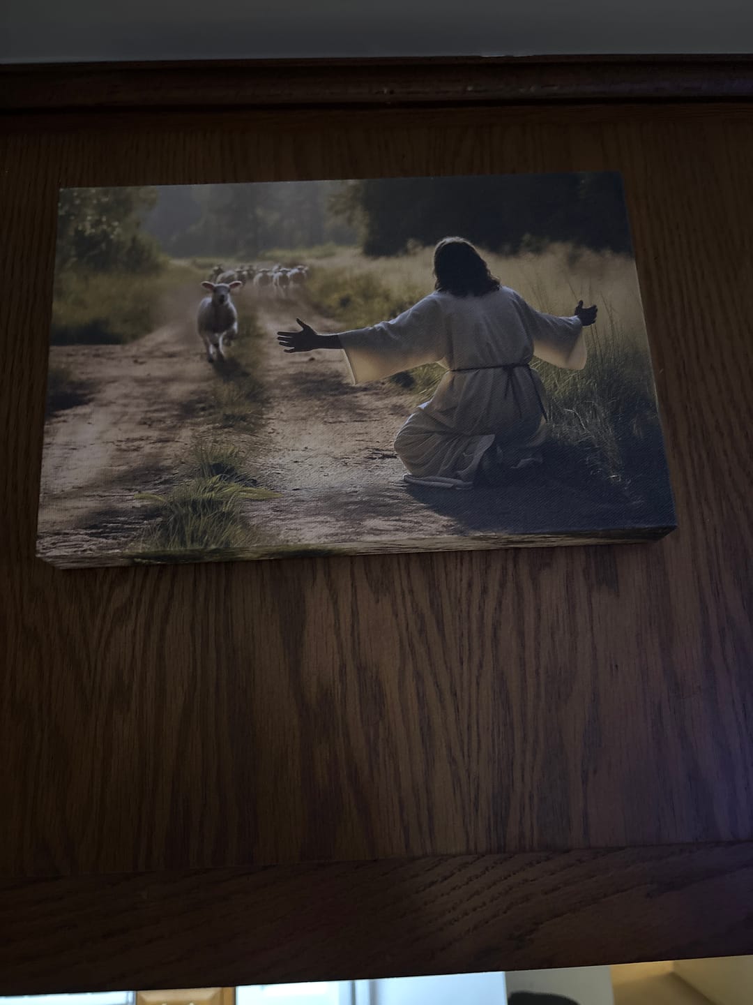 Customer photo review of Lamb Runs to Jesus Wall Art Canvas