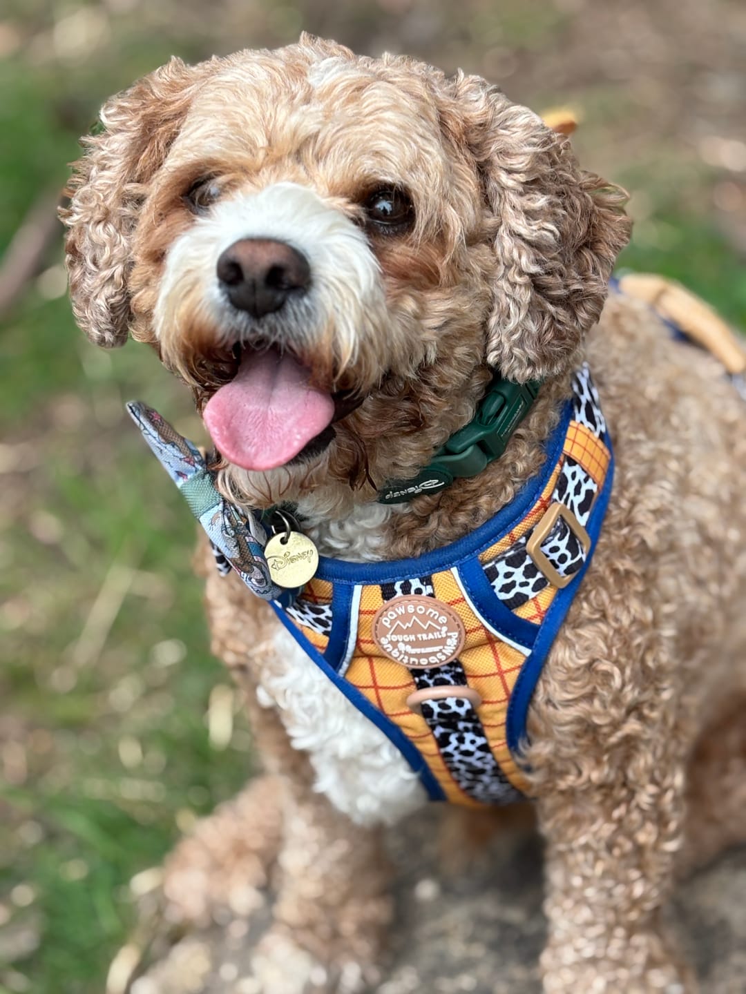Customer photo review of Disney© Tough Trails™ Harness - Woody