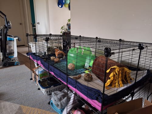 Customer photo review of 4x2 C&C Cage with Stand