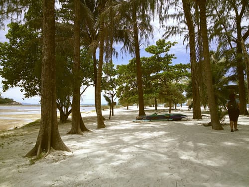 Customer photo review of NUVINT - Digitalkamera