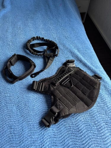 Customer photo review of 6-in-1 Full Tactical Set- Harness, collar, leash and mollie pouches