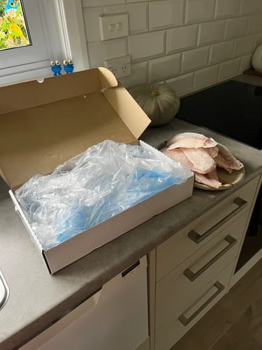 Customer photo review of 5KG Snapper Fillets (Skinned and Boned) Frozen