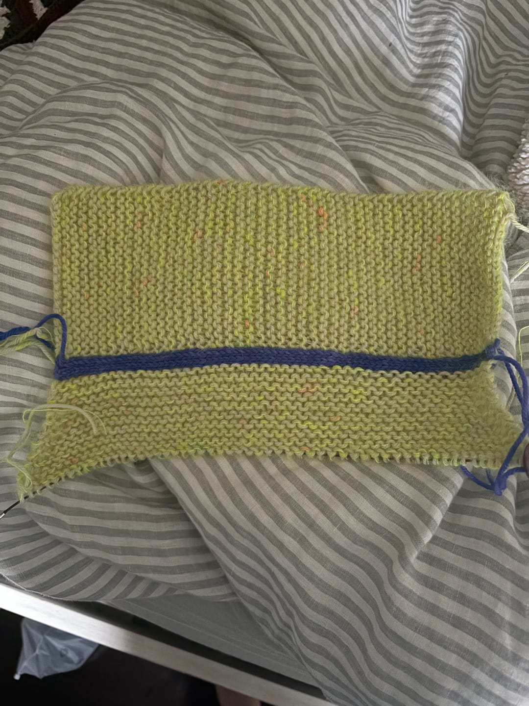 Customer photo review of DK