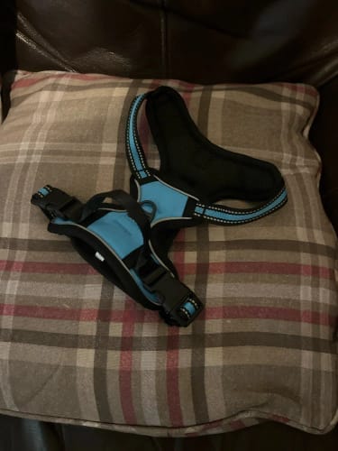 Customer photo review of Heavy-Duty Ultra-Reflective Night Trail Harness