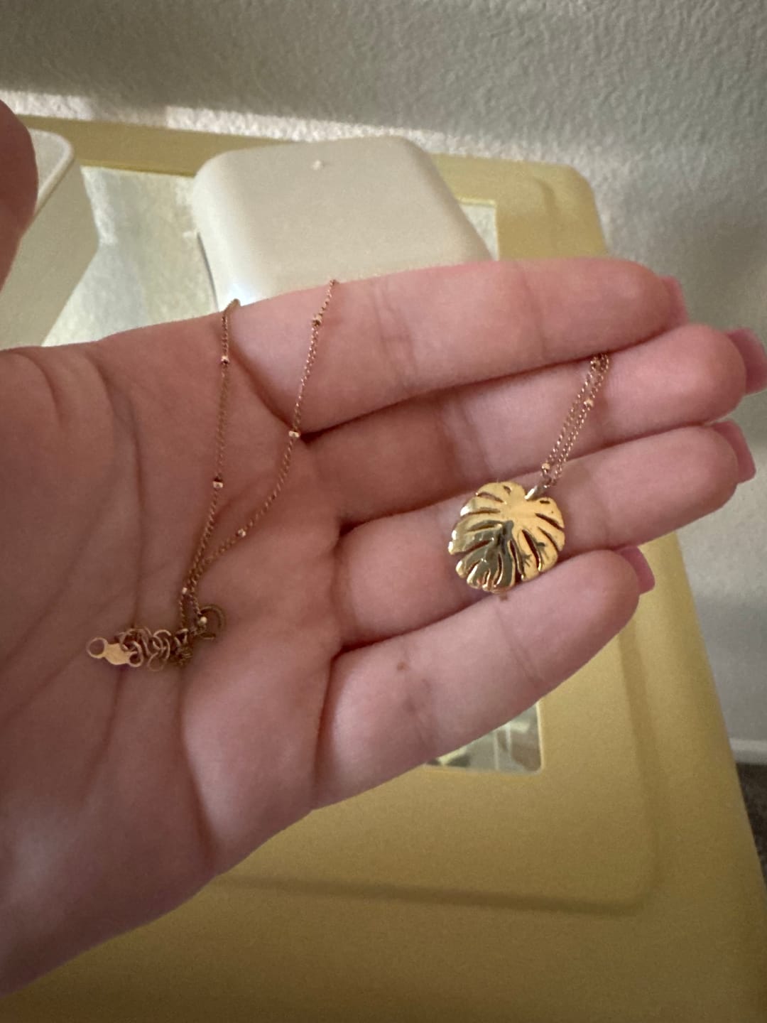 Customer photo review of Saturna Chain