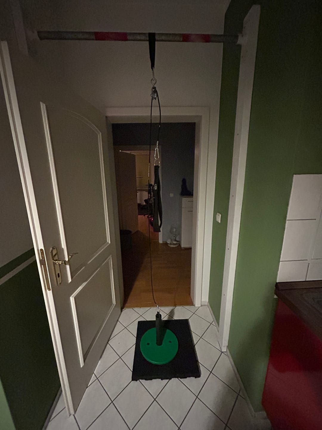 Customer photo review of Tricep and Lat Pulley