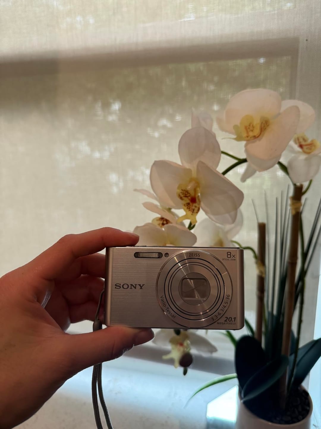 Customer photo review of SONY CYBERSHOT DSC-W830 [SILVER]