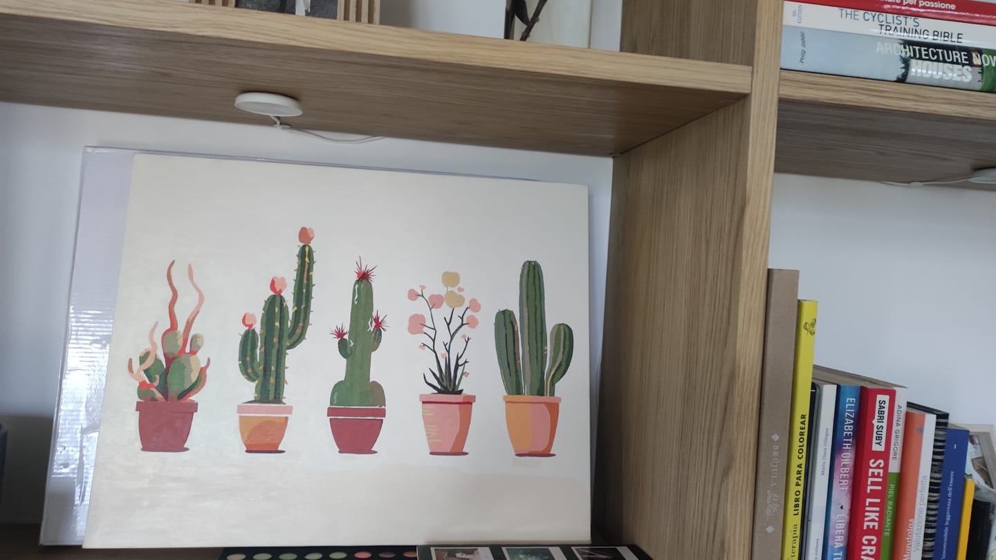 Customer photo review of Minimalist Cactus