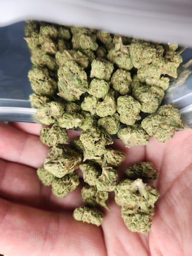 Customer photo review of London Pound Cake THCA Flower