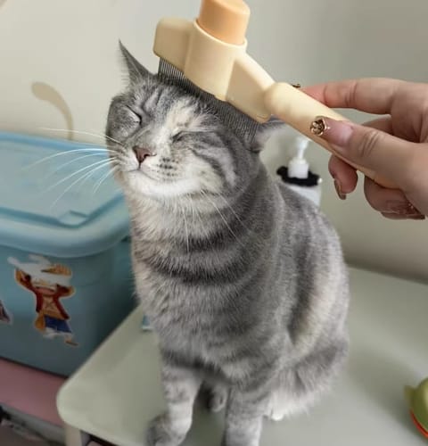 Kundenbewertung SmartBrush