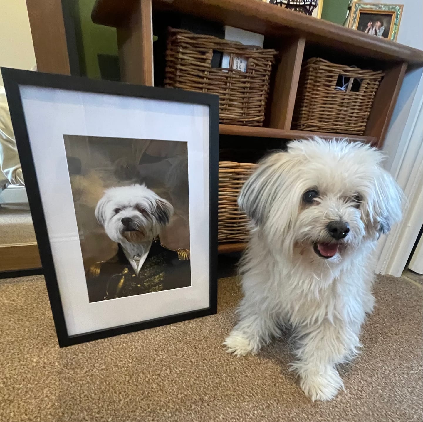 Customer photo review of The General: Custom Pet Portrait