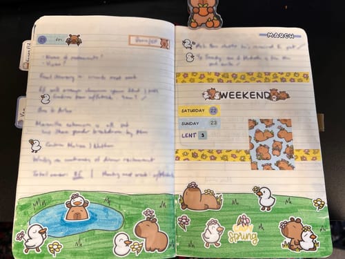 Customer photo review of Spring Capy Bundle