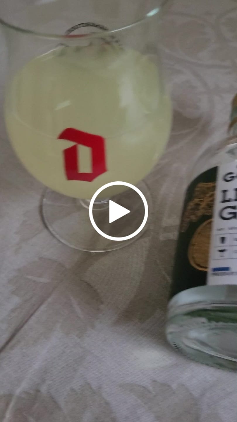 Customer video review of Le Ginger Gopy Classique BIO