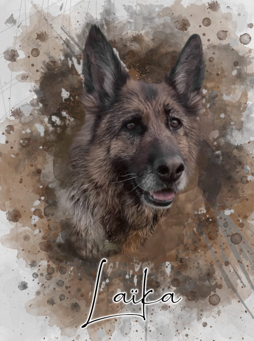 Customer photo review of Portrait Aqua Art