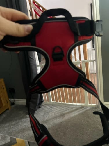 Customer photo review of Heavy-Duty Ultra-Reflective Night Trail Harness
