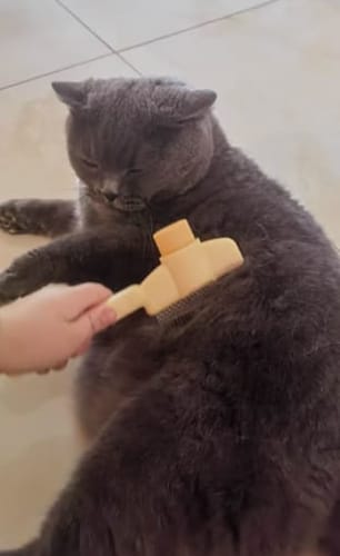 Kundenbewertung SmartBrush