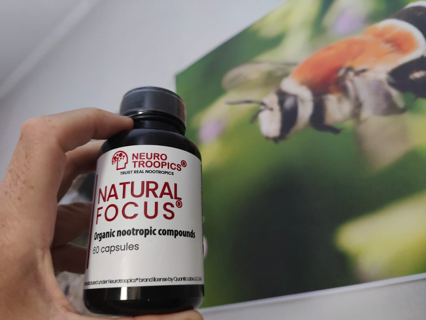 Customer photo review of Natural Focus - 60 Cápsulas
