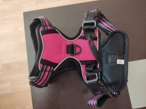 Customer photo review of Heavy-Duty Ultra-Reflective Night Trail Harness