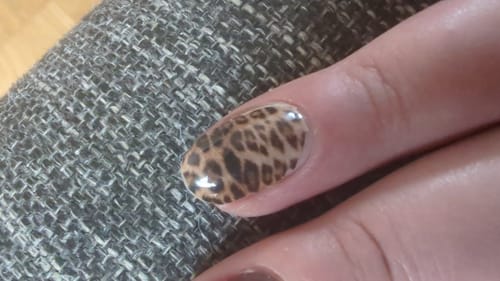 Nicole W. review of Autumnal Cheetah image 1 out of 1