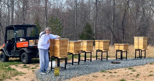 Customer photo review of BeeCastle 10-Frame Unassembled Medium Super Beehive Box with Pine Wooden Frames and Beeswax-Coated Yellow Plastic Foundation