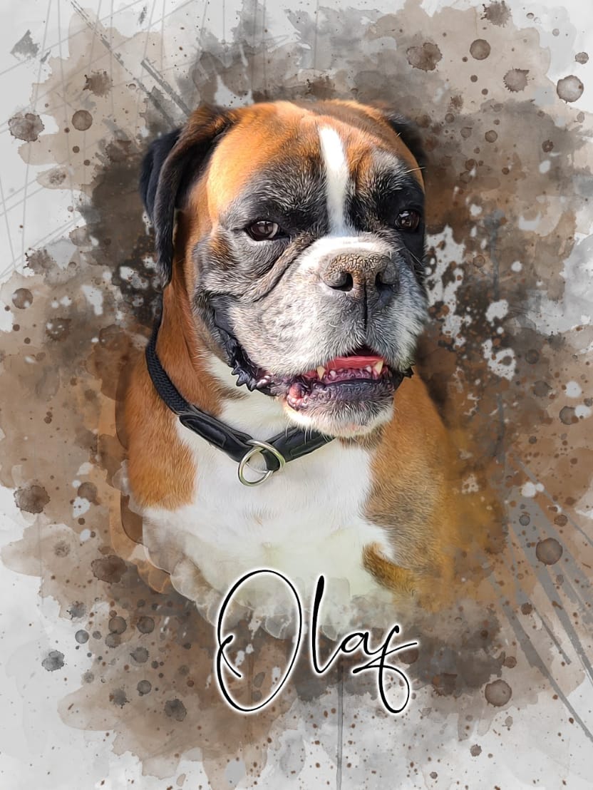 Customer photo review of Portrait Aqua Art