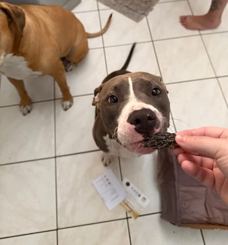 Customer photo review of Shipping Protection