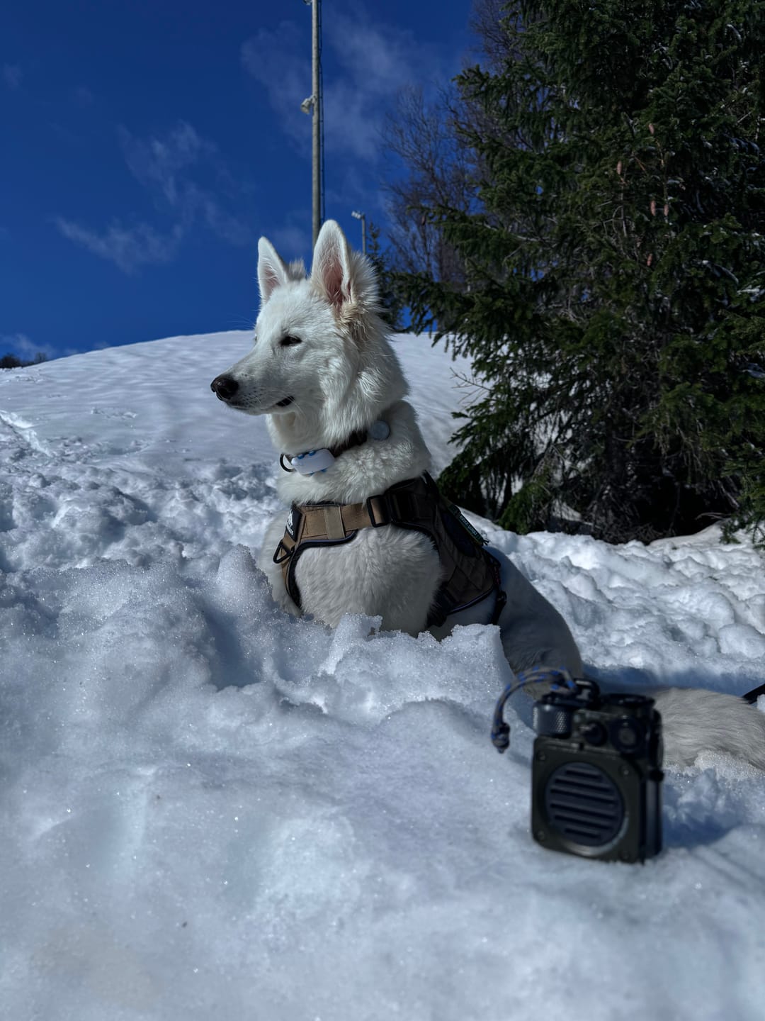 Customer photo review of MUZEN Wild Mini Rugged Outdoor Portable Bluetooth Speaker