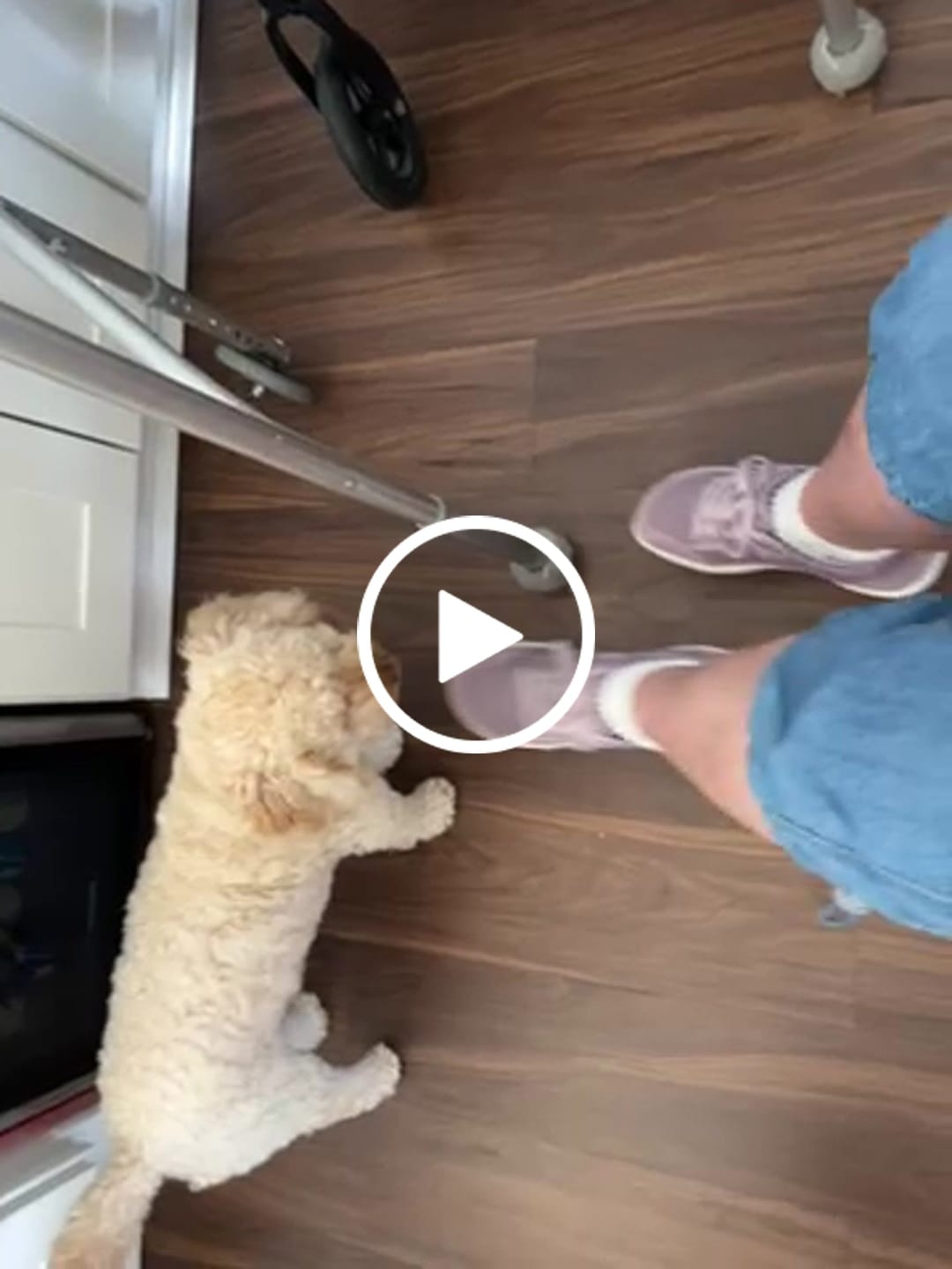Customer video review of Hyacinth - Barefoot Shoes