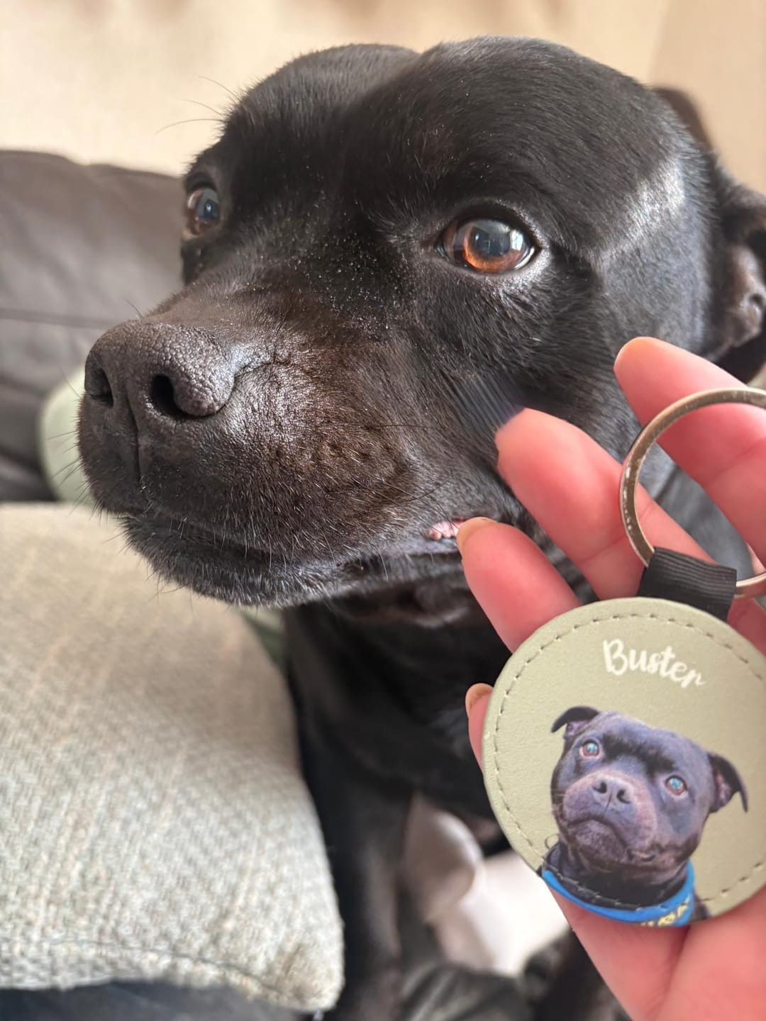 Customer photo review of Pet portrait - Personalised keychain