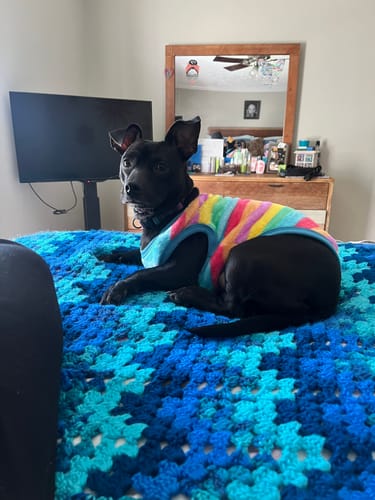 Customer photo review of Coconut Yak Chews