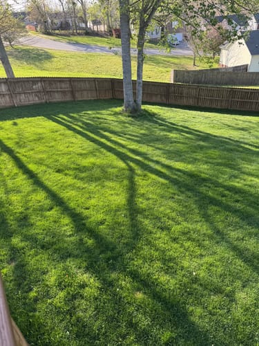 Customer photo review of Protene Performance Summer Fertilizer