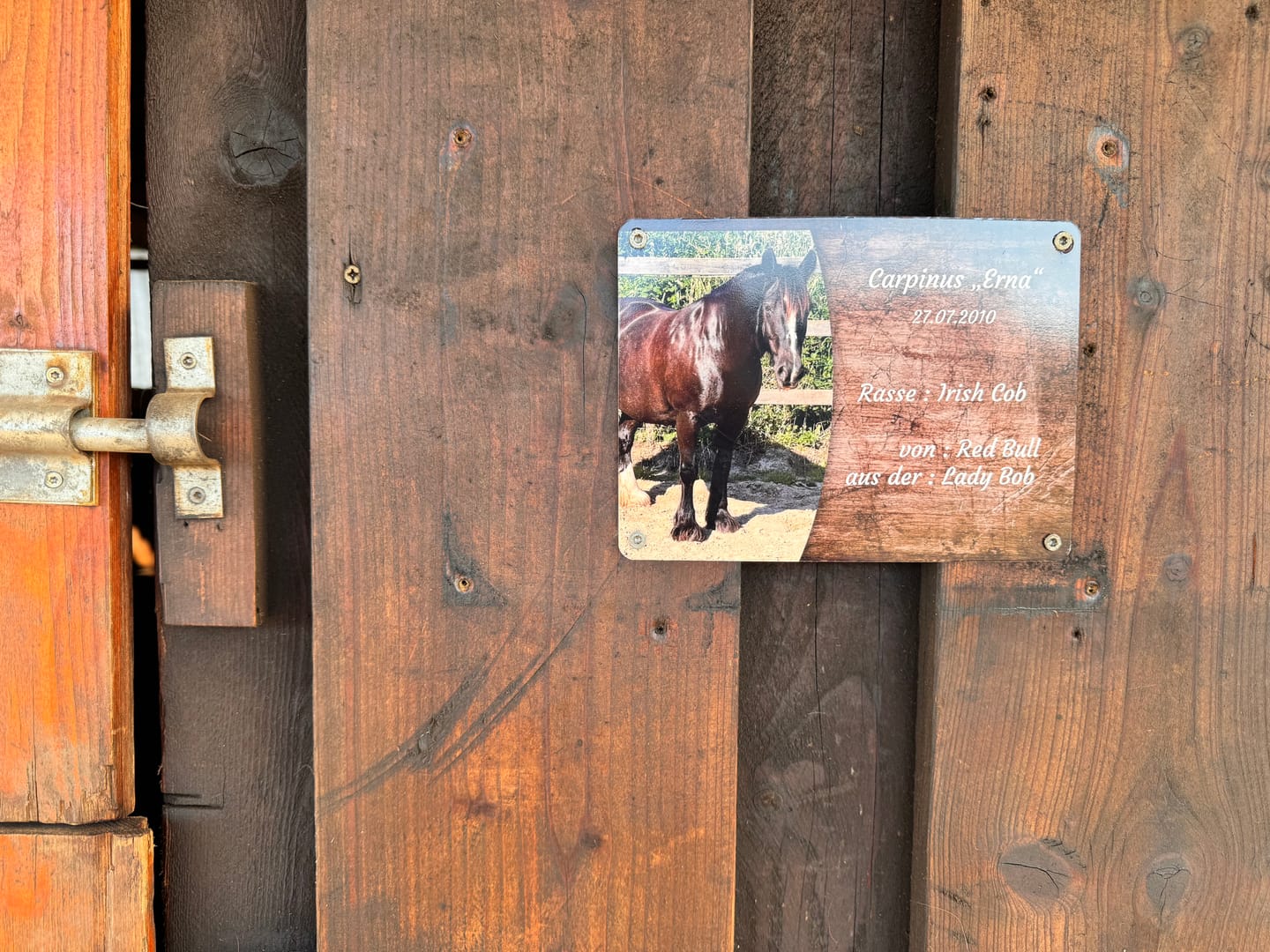 Customer photo review of Pferde Boxenschild mit Foto & Wunschtext (UV- und wetterfest)