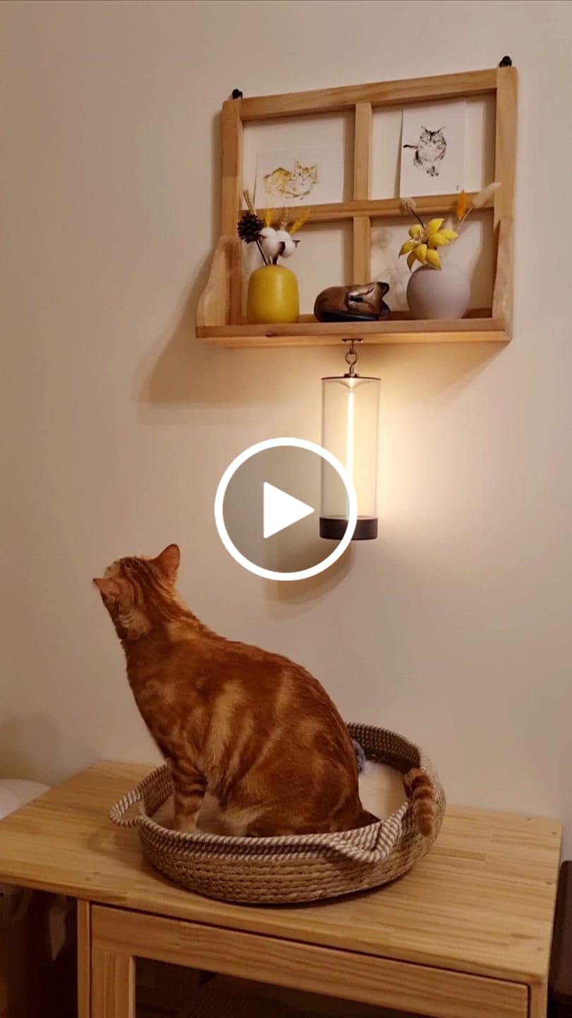 Customer video review of MAGI LAMP｜暮光